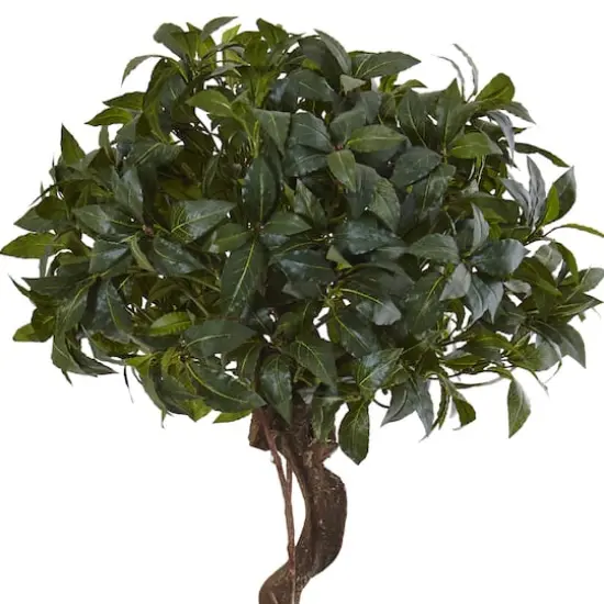 4.5ft. Sweet Bay Magnolia Double Topiary Tree in Metal Planter {3}
