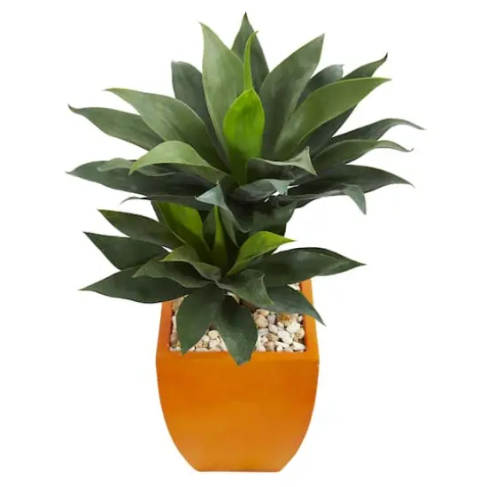 3ft. Double Agave Succulent Plant in Orange Planter {3}