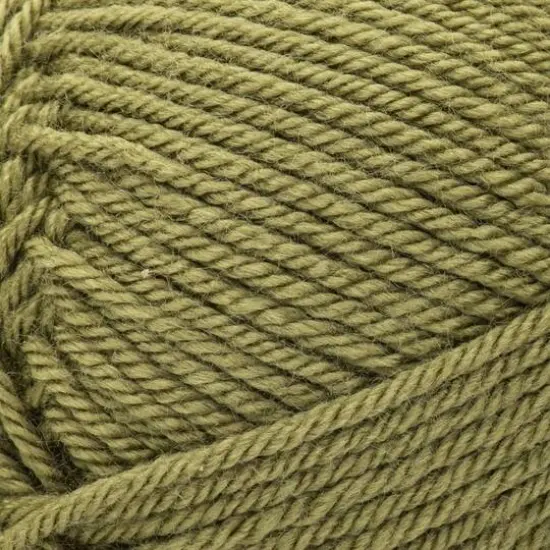 Patons Canadiana Solids Yarn Moss {6}