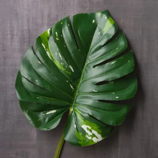 Monstera Leaf Stem by Ashland&reg; {3}