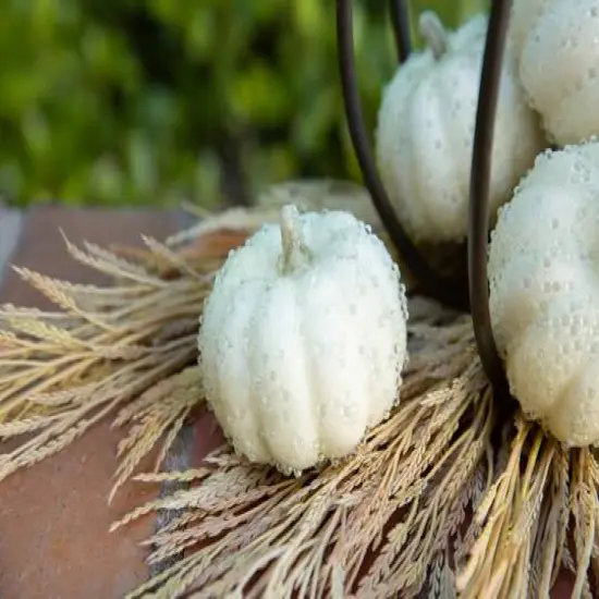 Flora Bunda&reg; Beaded Cream Pumpkins Set {4}