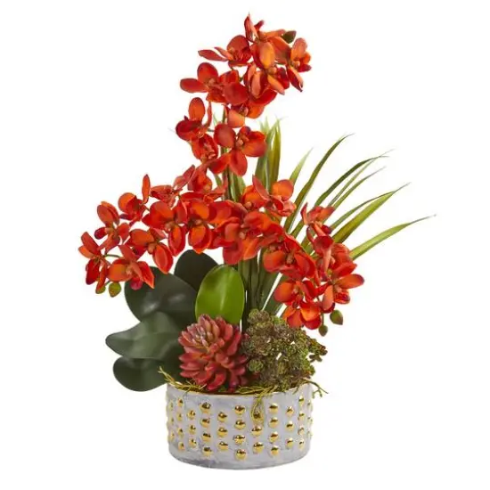 21" Autumn Orange Moth Orchid & Succulent Arrangement in Planter {1}