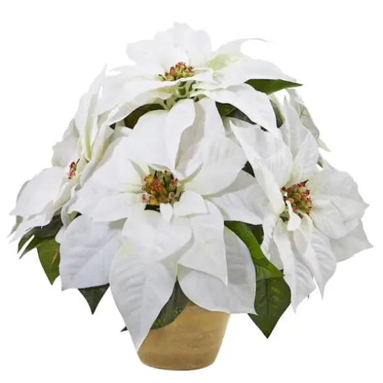 13" Poinsettia Arrangement in Ceramic Vase {1}