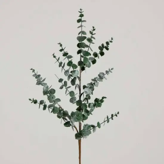 40" Green Eucalyptus Stems, 3ct. {10}