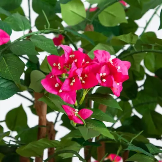 5ft. Artificial Deluxe Bougainvillea Tree {5}