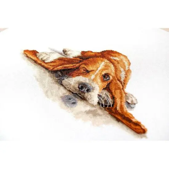 Luca-s Basset Counted Cross Stitch Kit {6}