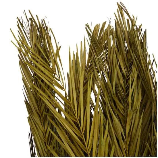 43" Natural Dried Plant Palm Leaf Bunch with Feather-Inspired Stems Green {5}