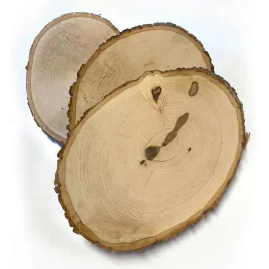 Wilson&reg; Enterprises 45 Pack Small Basswood Plaque Seconds {1}