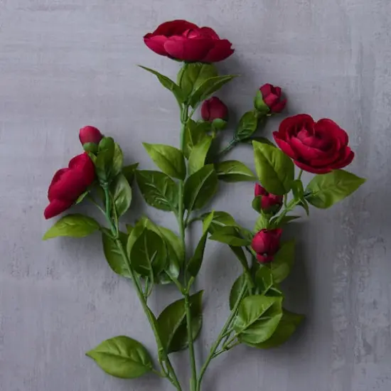 Burgundy Ranunculus Spray by Ashland&reg; {3}