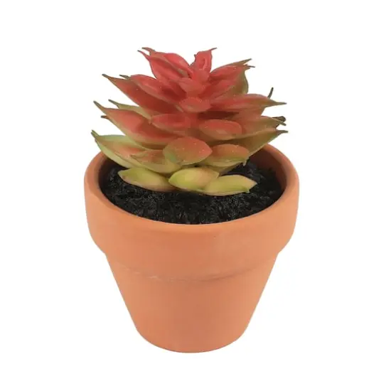 Mini Premade Succulents in Terra Cotta Pots, 6ct. by Ashland&reg; Dark Green {7}