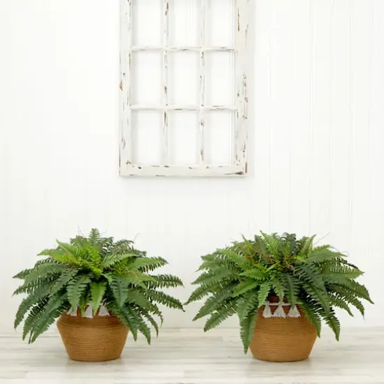 23" Artificial Boston Fern Plant with Handmade Jute & Cotton Basket with Tassels {4}