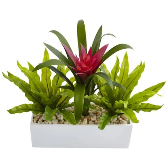 14" Bromeliad & Birds Nest Arrangement in Rectangular Planter {4}