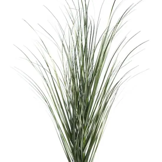 Tall Green Grass Stem by Ashland&reg; {3}