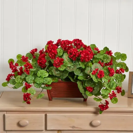 15'' Geranium in Wooden Planter {4}