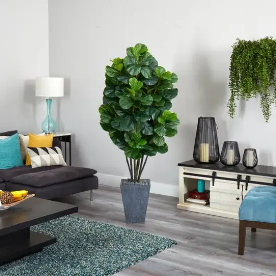 6ft. Fiddle Leaf Fig Tree in Slate Planter {4}