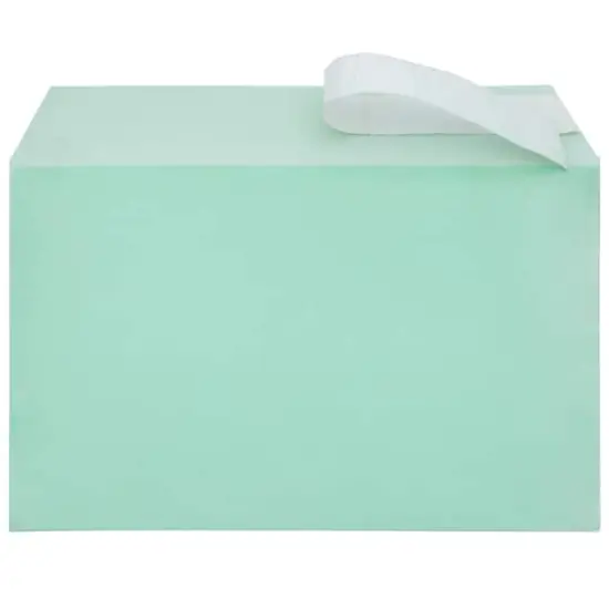 JAM Paper 5.43" X 8.62" Self Adhesive Closure Cello Sleeves, 100ct. Green {4}