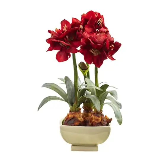 26" Red Amaryllis Arrangement in Ceramic Planter {1}