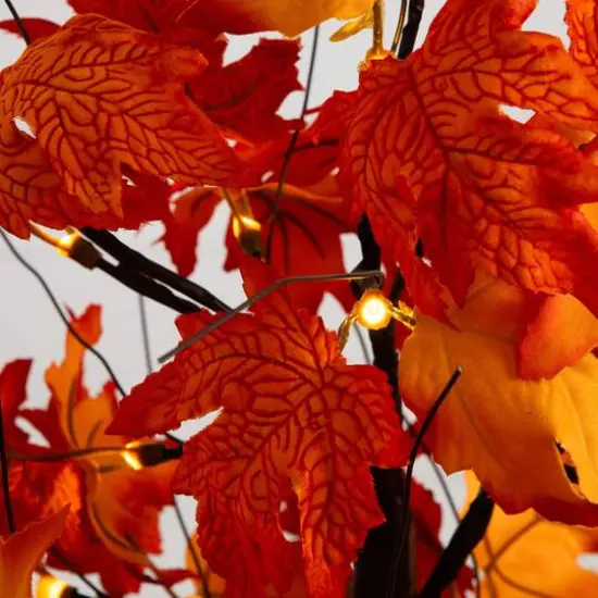 2ft. Pre-Lit Bright Autumn Maple Artificial Fall Tree with 24 Warm White LED Lights and Detachable Base {6}