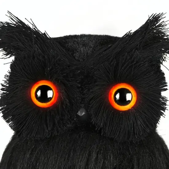 11'' Eerie Eyes Owl Halloween D&eacute;cor {3}