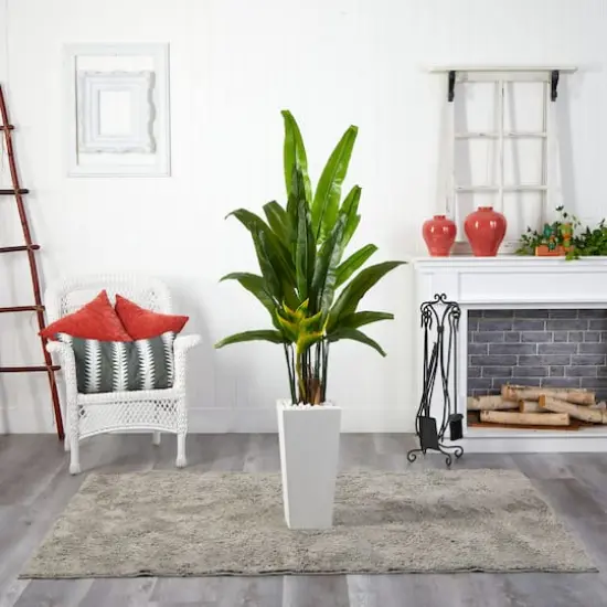 6ft. Potted Travelers Palm Tree in Decorative Planter {4}