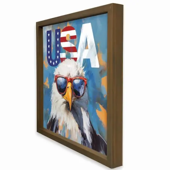 16" x 16" Patriotic Bald Eagle Framed Print Brown Frame {3}