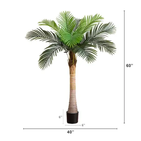 5ft. Potted Coconut Palm Tree {5}