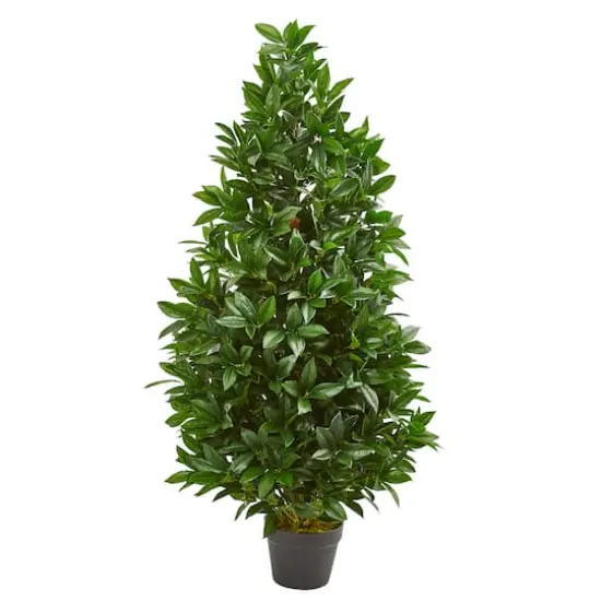 4ft. Potted Bay Leaf Topiary Tree {1}