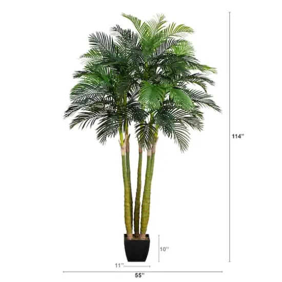 9.5ft. Potted Giant 5 Stalk Areca Palm Tree {3}