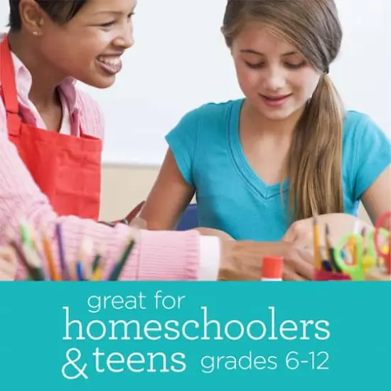 Apple Barrel&reg; Art Lessons Paint & Brush 34 Piece Set {7}