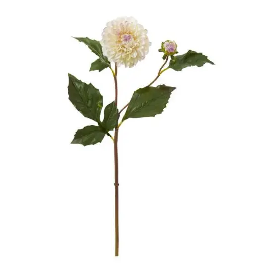 19" Dahlia Stem, 6ct. White {1}