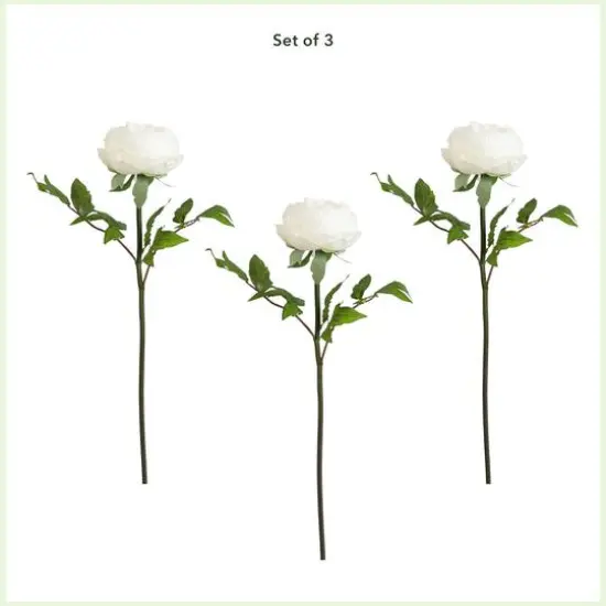 20" White Peony Flower Stems, 3ct. {4}