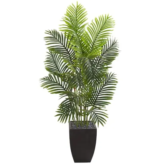 5.5ft. Paradise Palm Tree with Square Planter {1}