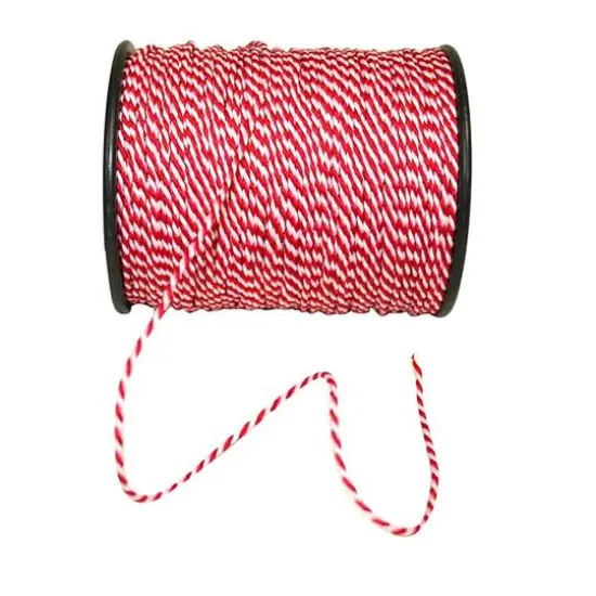 JAM Paper Candy Cane Cord {1}