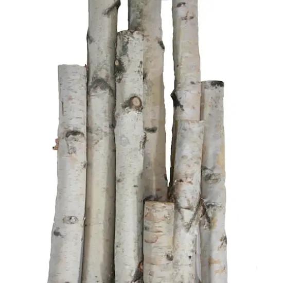 Wilson&reg; Enterprises White Birch Pole Pack {1}