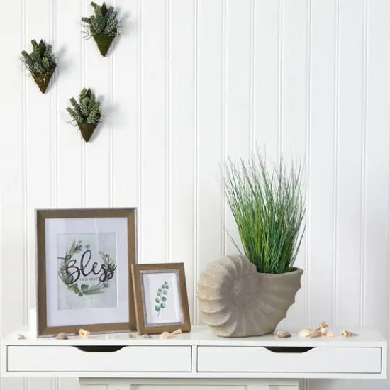 21" Onion Grass Plant in Shell-Shaped Planter {4}