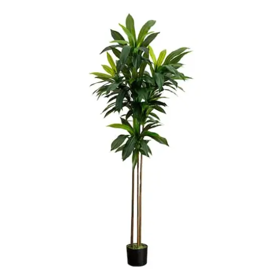 7ft. Potted Green Artificial Dracaena Tree with Real Touch Leaves {1}