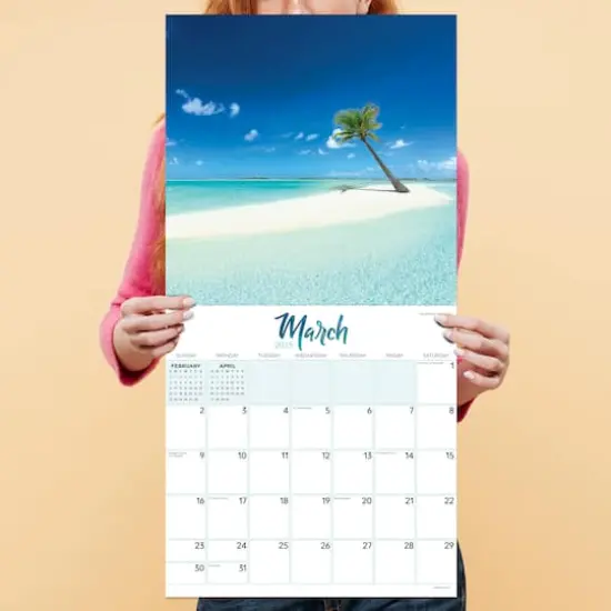 TF Publishing 2025 Tropical Beaches Wall Calendar {5}