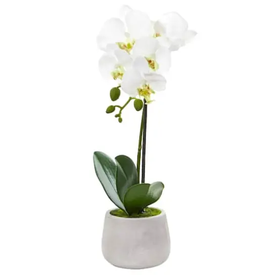 Phalaenopsis Orchid Artificial Arrangement (Set of 2) {3}