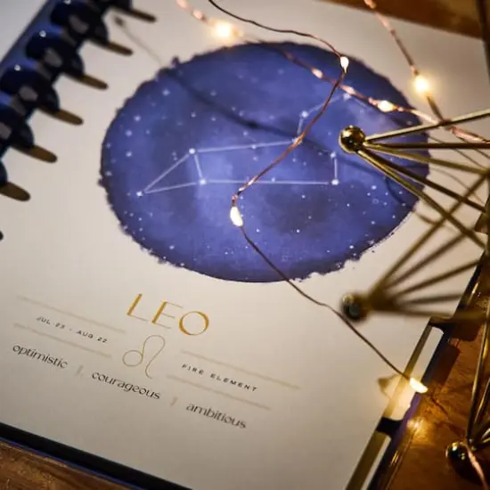 The Big Happy Planner&reg; Star Signs {10}