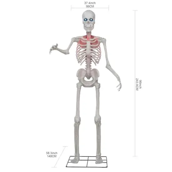 8ft. Skeleton by Ashland® {4}