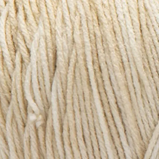 Red Heart&reg; Super Saver Ombre&trade; Yarn Sand {4}