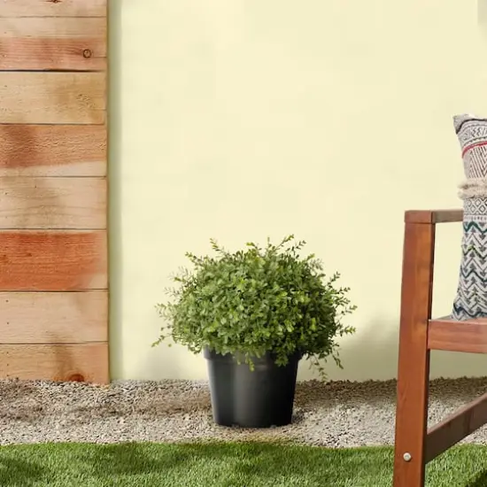 15" Mini Tea Leaf 1-Ball w/ Growers Pot {3}