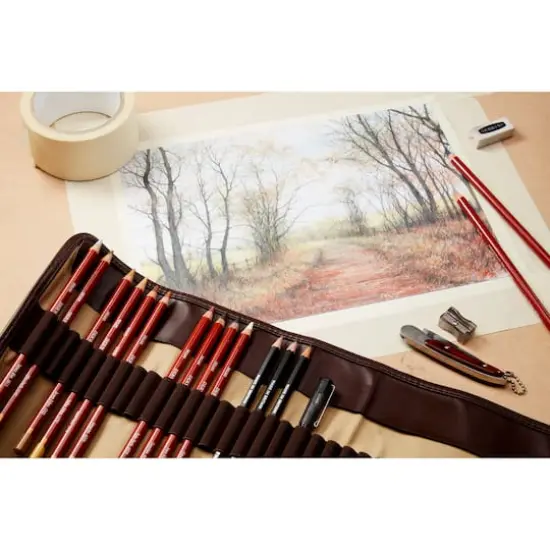 Derwent&reg; Drawing Pencil 12 Color Tin Set {5}