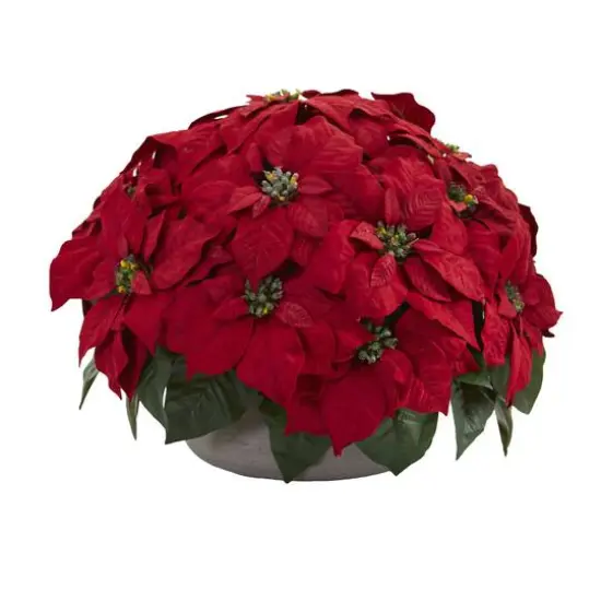 14" Red Poinsettia Plant in Stone Planter {1}