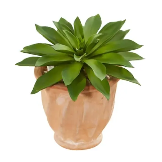 11" Giant Succulent in Terracotta Planter {1}
