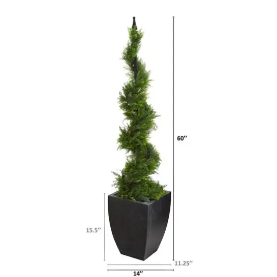 5ft. Cypress Spiral Topiary Tree in Black Planter {3}