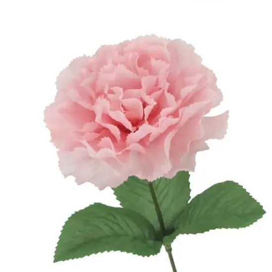 18" Pink Carnation Bush by Ashland&reg; {4}