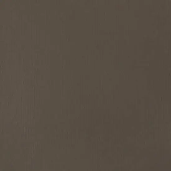 Liquitex&reg; BASICS&reg; Acrylic Fluid, 4oz. Raw Umber {3}