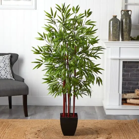 5ft. Potted Bamboo Silk Tree {5}