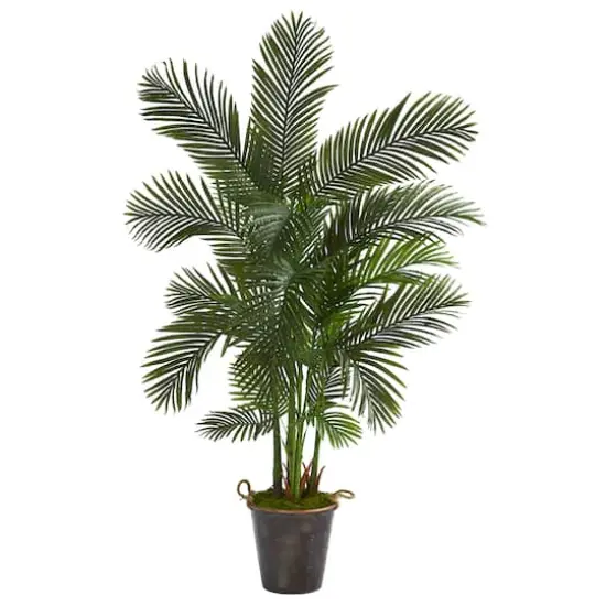 5.75ft. Areca Palm Tree in Decorative Metal Pail with Rope {1}